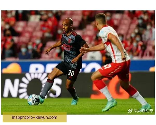 本菲卡本赛季表现稳健，球队在联赛中持续保持竞争力。